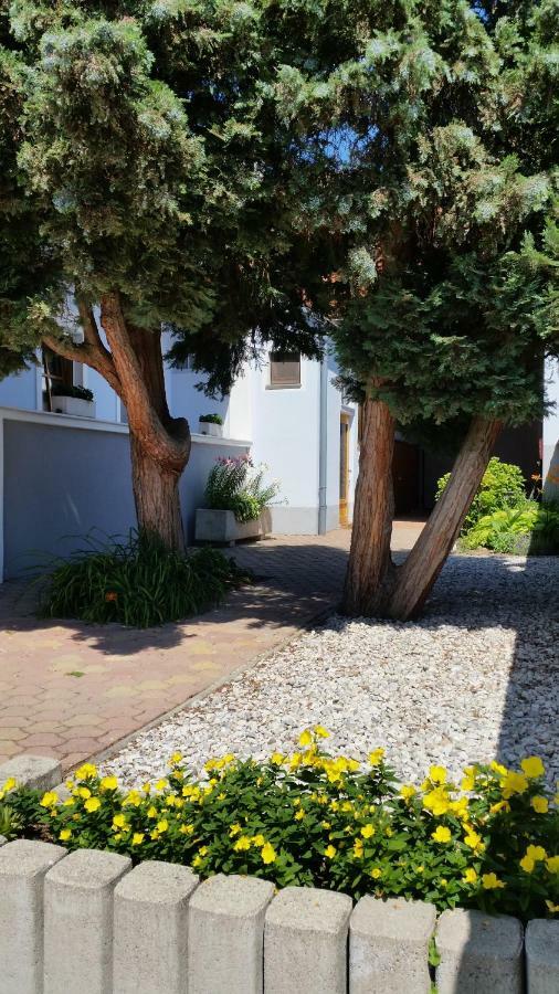 Ferienwohnungen Magedler Lutzmannsburg Exteriér fotografie